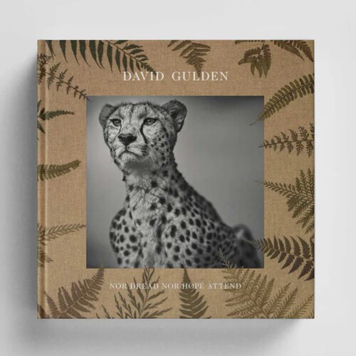 预售 David Gulden: Nor Dread Nor Hope Attend: Photographs From The Plains Of Africa Damiani