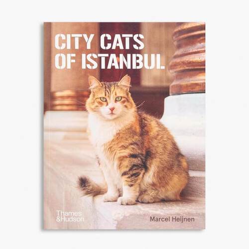 预售 Marcel Heijnen City Cats of Istanbul伊斯坦布尔的街头猫 T&H 英文进口原版摄影画册 华源时空