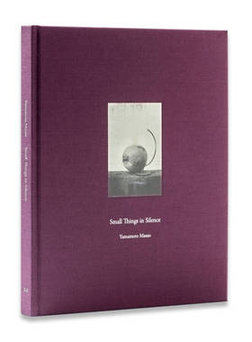 预售【2024新版】山本昌男写真集 沉默中的小事 静默小物 Masao Yamamoto:Small Things In Silence by Masao Yamamoto