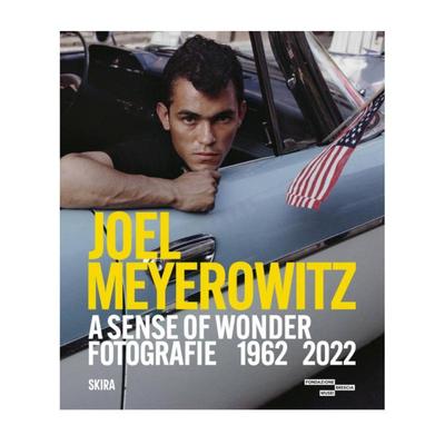JoelMeyerowitzPhotographs