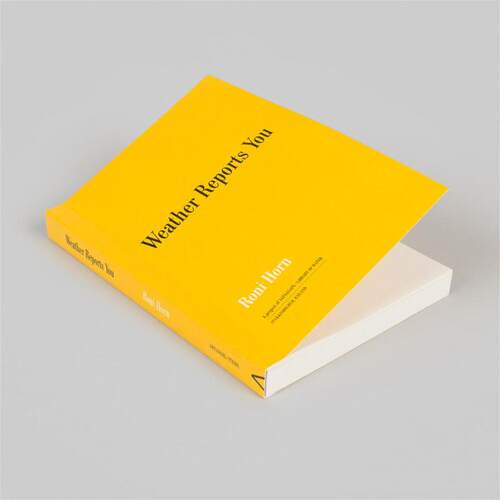 预售 Roni Horn: Weather Reports You (2022)罗尼霍恩：天气预报了你 进口原版摄影 华源时空 Steidl