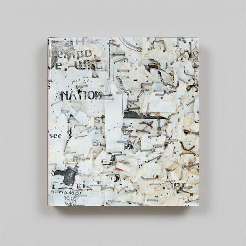 预售 Mitch Epstein: Property Rights 米奇爱泼斯坦：产权 Steidl 英文进口原版摄影画册 华源时空