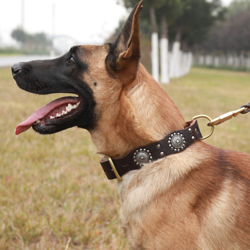 德牧狗狗项圈大型犬金毛颈圈马犬