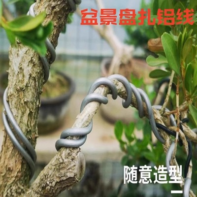 盆景盘扎铝线软铁线绑枝diy粗软扎带专用定型器花木固定攀扎扎丝