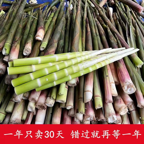 水竹笋小竹笋野生无化肥无农药