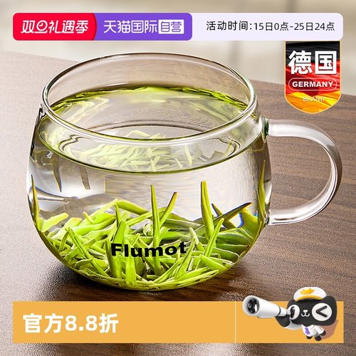 德国玻璃绿茶泡茶杯带把手耐高温