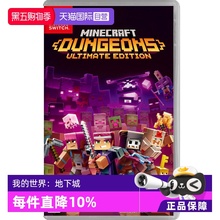 【自营】任天堂Nintendo Switch 我的世界：地下城 日版卡带 中文