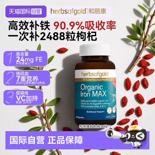 和丽康补铁小棕丸补铁补气血