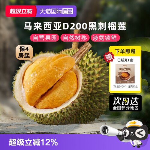 自营马来西亚黑刺榴莲整果树熟