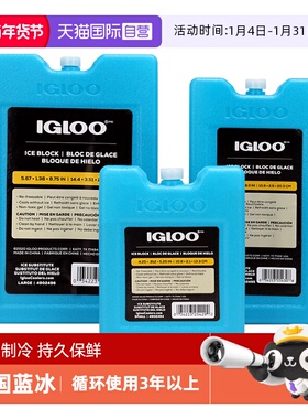 【自营】IGLOO蓝冰盒冰砖冰板背奶储奶专用循环使用制冷保鲜运输
