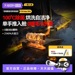 德尔玛火火洗地机P70Max吸拖洗一体机家用躺平高温洗地机 自营