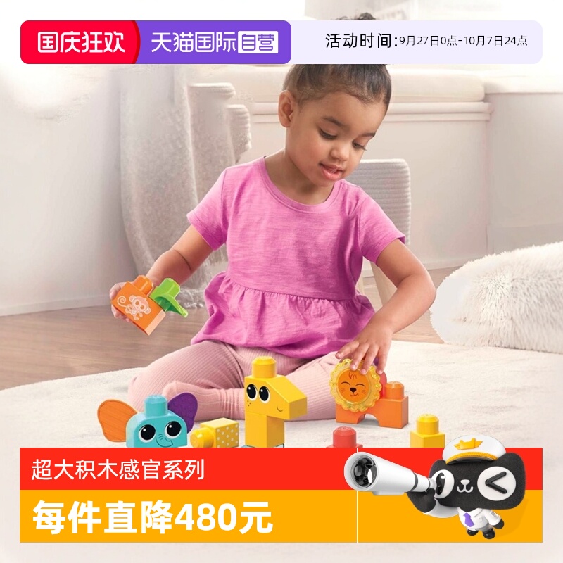 费雪美高超大积木感官系列套装