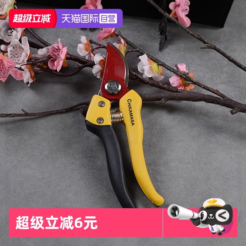 日本近正大嘴鸟修枝剪