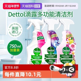 【自营】Dettol滴露多功能清洁喷雾冰箱浴室地板除菌除霉清洁剂液