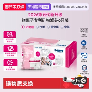 【自营】倍世BWT滤芯德国净水壶过滤水壶通用家用进口矿物镁滤芯
