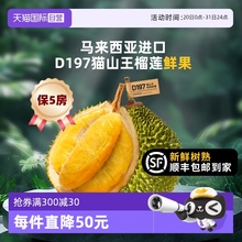 【自营】市舶士D197猫山王榴莲鲜果新鲜树熟榴莲保5房顺丰发货