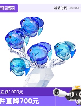 【自营】施华洛世奇家居蓝色鱼群摆件家居招财送女友节日礼物水晶