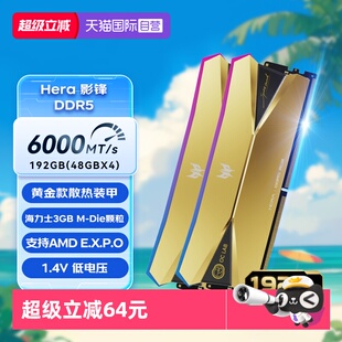 HERA 6000 c28 DDR5台式 宏碁掠夺者 192G 机RGB内存条 自营