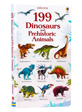 Usborne199个单词系列英文原版