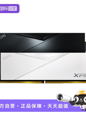 【自营】威刚XPG威龙D500 ddr5 16G/32G 6000台式电脑内存条马甲