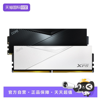 自营威刚XPG威龙D500ddr5