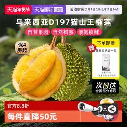 【自营】市舶士马来西亚进口D197猫山王榴莲液氮整果水果顺丰包邮
