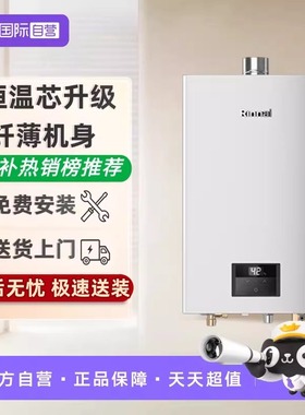 【自营】林内燃气热水器13/16E33G-CY家用强排式恒温天然气静音
