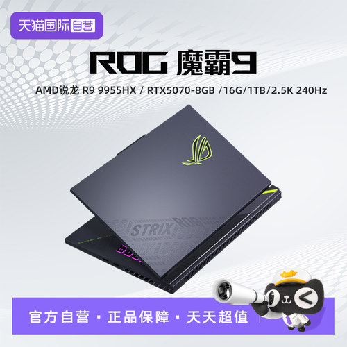 【自营】ROG 魔霸9 锐龙R9-9955HX RTX5070显卡16英寸2.5K星云屏240Hz刷新率电竞游戏笔记本电脑玩家国度