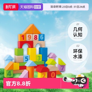 德国Hape益智积木40粒玩具宝宝早教婴幼儿童启蒙木质礼物 自营