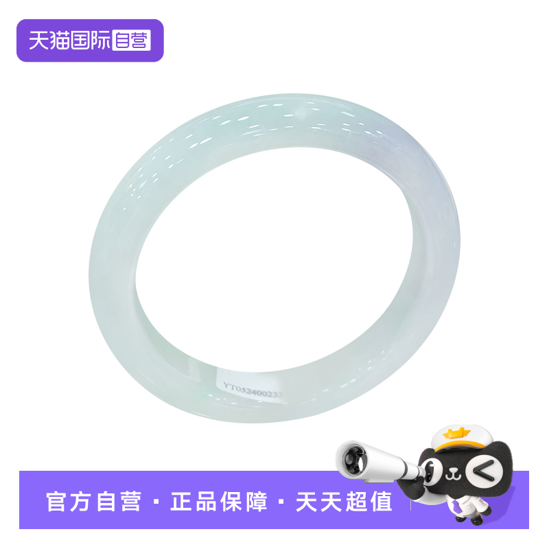 【自营】浅语拾光缅甸天然A货翡翠冰润飘淡绿清新种老水足玉手镯