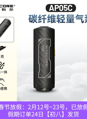 奈特科尔AP05C户外露营游泳圈睡垫气垫自动气泵便携式电动充气泵