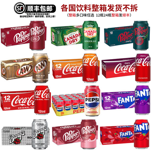 加拿大姜汁汽水干生姜气泡水饮料