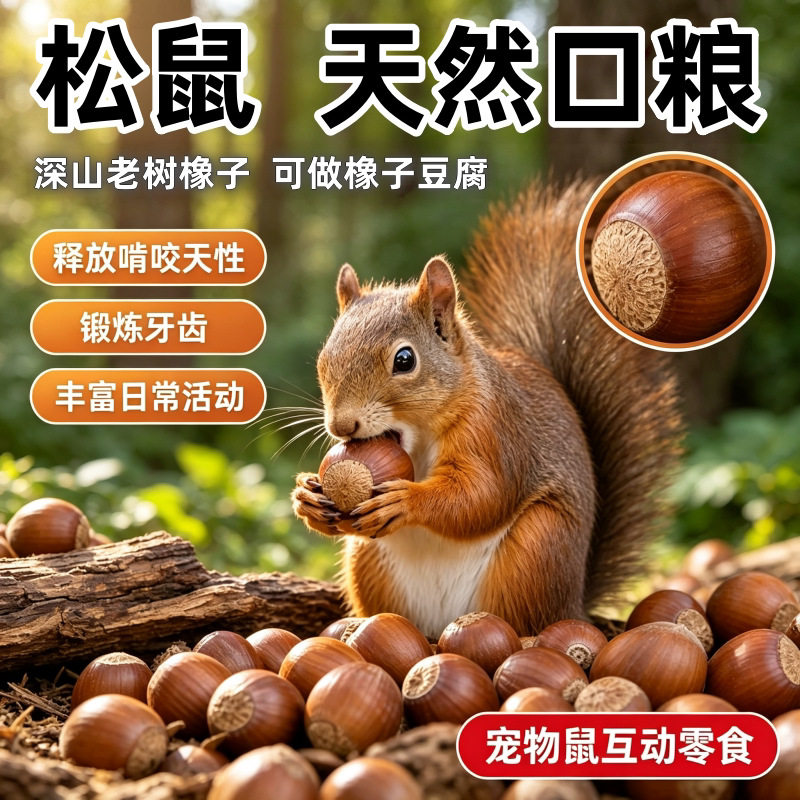 2026年新鲜橡子果当季