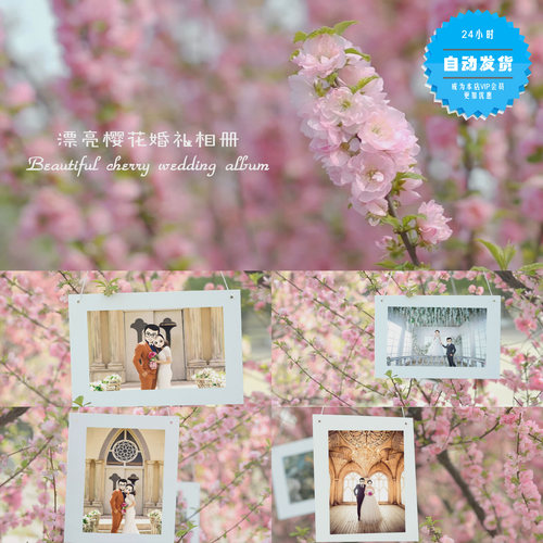 此模板为会声会影X6制作，压缩包内包含字体文件和模板源文件，方便广大用户使用！ 本店所有视频模板均可代做，需要视频代做的可以联系客服！