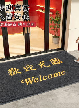 厚款商用丝圈地垫入户门口脚垫店铺门垫防滑垫欢迎光临灰色出入平