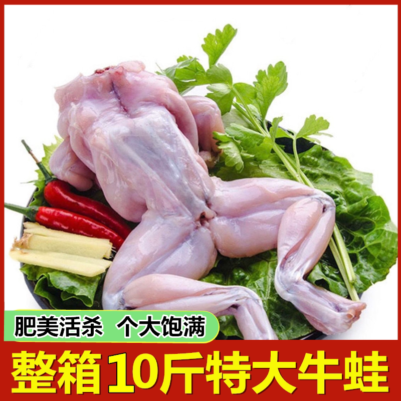 牛蛙鲜活新鲜冷冻10斤特大田鸡半成品青蛙肉牛蛙腿火锅商用田蛙