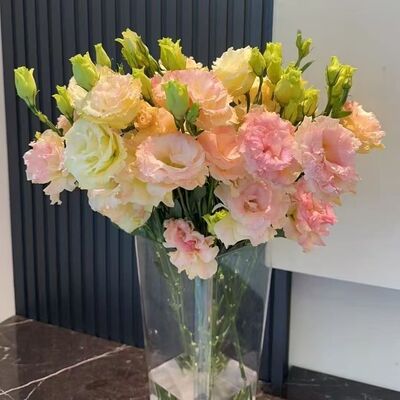 A级洋桔梗真花鲜花插花基地直发