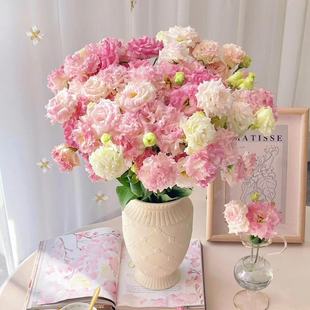 【现采现发】洋桔梗鲜花无刺玫瑰云南直发家居婚庆新鲜花材水养