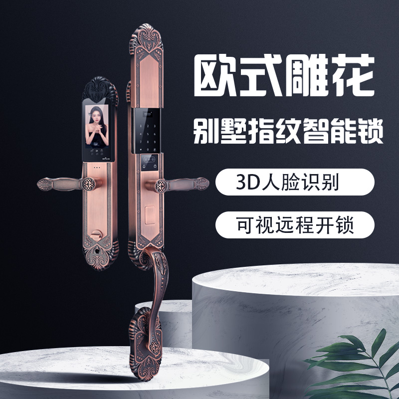 欧式别墅双开大门人脸识别智能锁