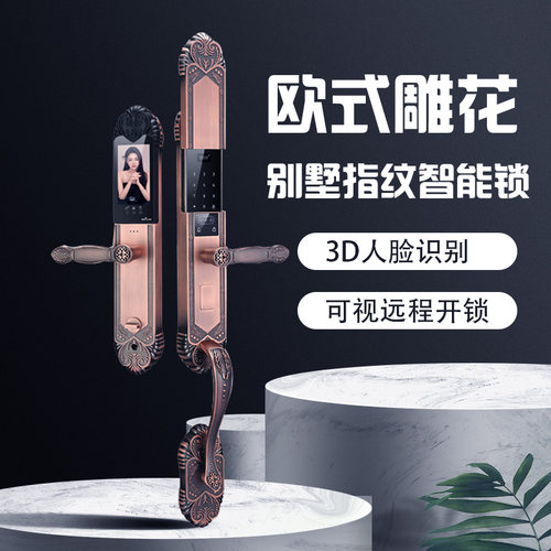 欧式别墅双开大门人脸识别智能锁