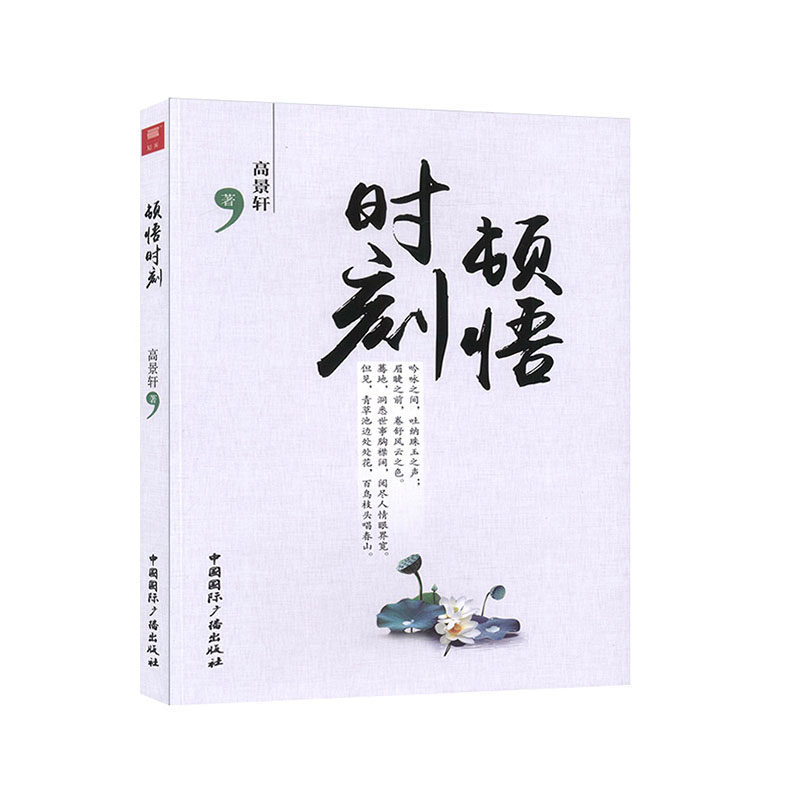 顿悟时刻 中国当代书籍