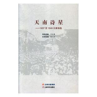 正版包邮 天南诗星:1937-1949云南诗选 罗铁鹰 书店 中国现当代诗歌书籍 畅想畅销书