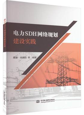 正版电力SDH网络规划建设实践戴睿书店工业技术书籍 畅想畅销书