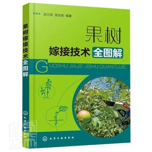 正版包邮 果树嫁接技术全图解 者_赵兰英雷世俊责_李丽 书店农业、林业 书籍 畅想畅销书