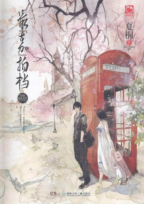 正版包邮 拍档  夏桐 书店 小说 书籍 畅想畅销书