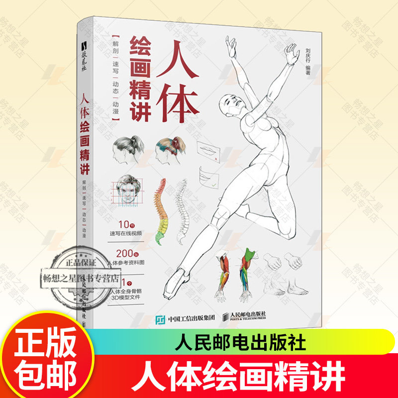 人体绘画精讲 解剖+速写+动态+动漫 人体结构动态结构自学教程基础入门 人物速写入门基础绘画临摹书籍透视技法自学教程