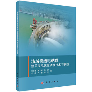 包邮 流域梯级电站群协同发电优化调度技术与实践 王永强等 科学出版社 工业技术 水利工程 水能利用 水电站工程 能源与动力工程