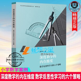 六个策略 核心素养导向 华东师范大学出版 内在维度 社 小学数学案例 数学反思性学习 数学教学策略 深度教学 课堂教学丛书