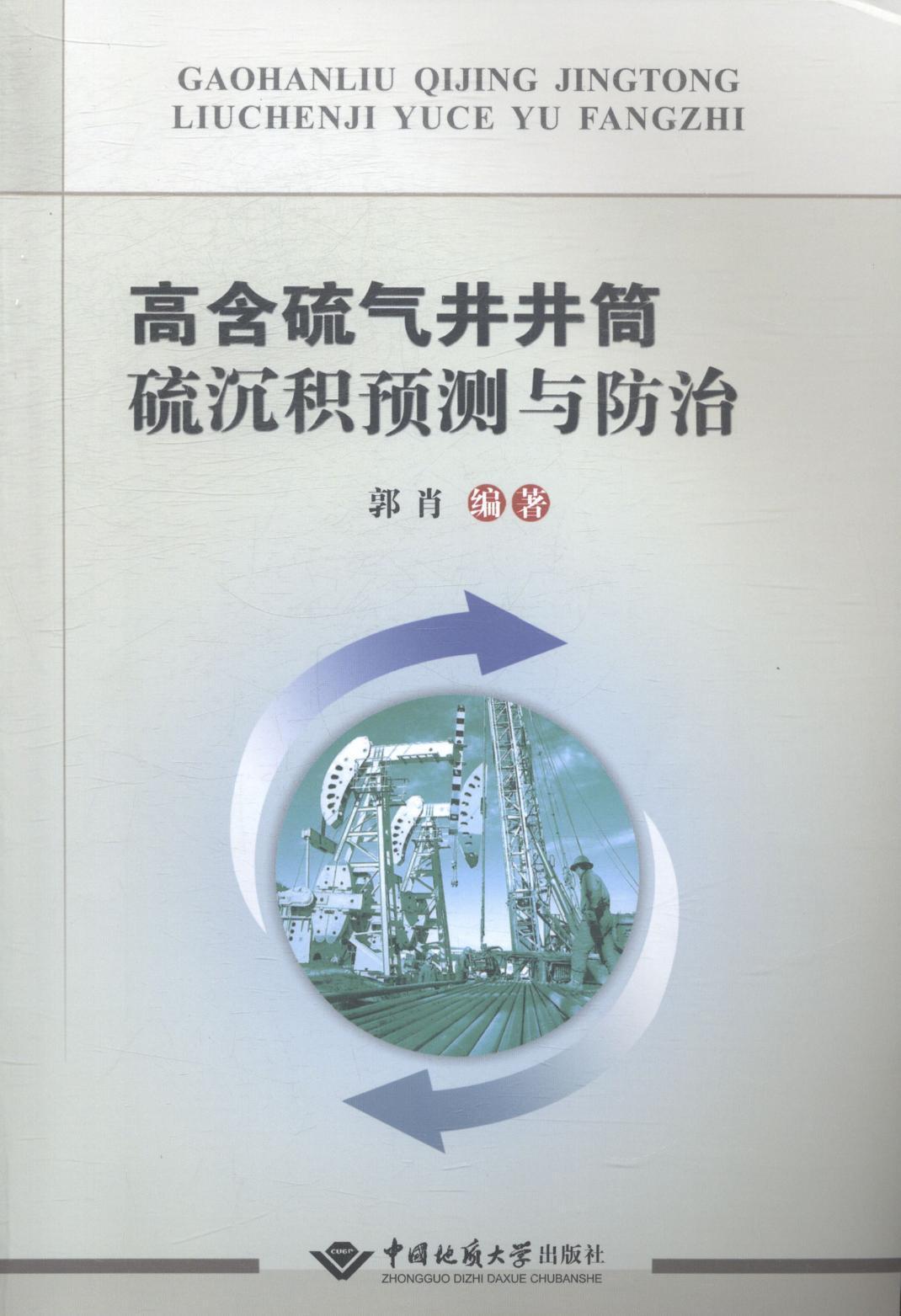 正常发货 正版包邮 高含硫气井井筒硫沉积治 郭肖 书店 石油、天然气工业书籍 畅想畅销书