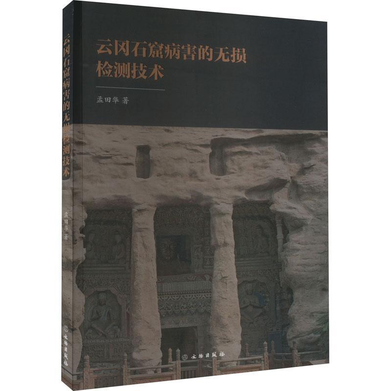 正版云冈石窟病害的无损检测技术孟田华书店历史书籍 畅想畅销书